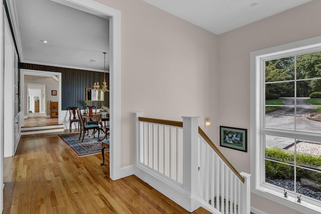 hall featuring a chandelier, ornamental molding, and light hardwood / wood-style flooring