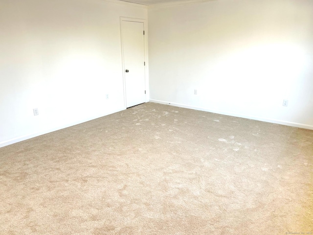 empty room featuring carpet