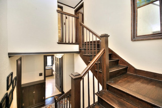 stairs with hardwood / wood-style floors