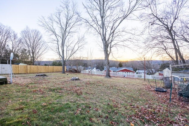 view of yard at dusk