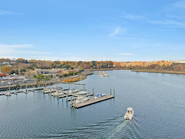 view of dock with a water view