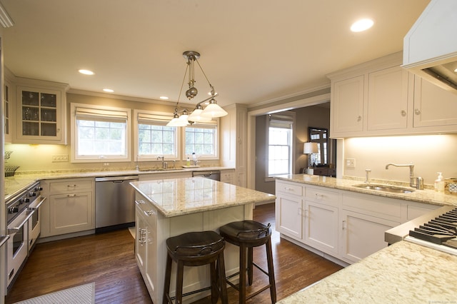 kitchen with plenty of natural light, dark hardwood / wood-style floors, sink, and appliances with stainless steel finishes