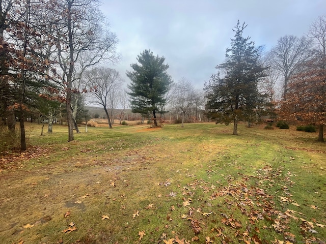 view of yard featuring a rural view