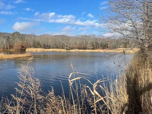 water view