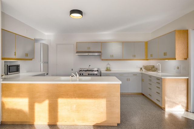 kitchen with sink, kitchen peninsula, and stainless steel appliances