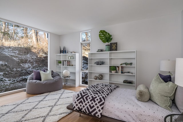 bedroom with wood-type flooring