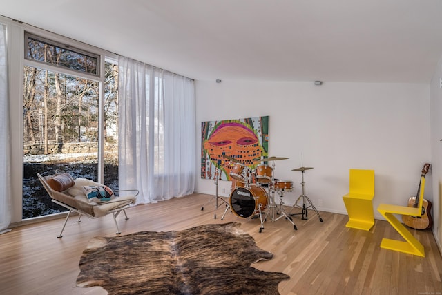 sitting room featuring a healthy amount of sunlight and hardwood / wood-style flooring