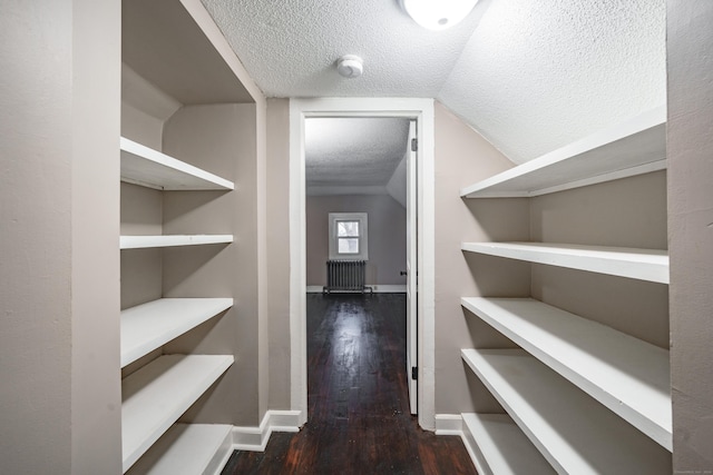 spacious closet featuring dark hardwood / wood-style floors, radiator, and vaulted ceiling