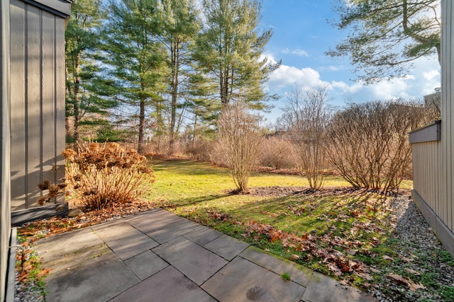 view of yard featuring a patio area