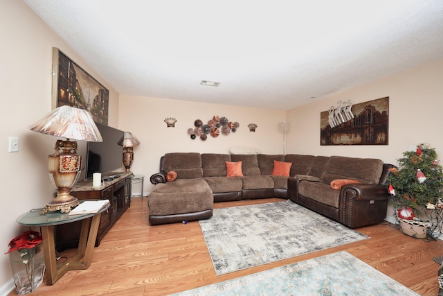 living room featuring light hardwood / wood-style flooring