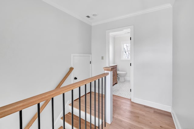 hallway featuring light hardwood / wood-style flooring and ornamental molding