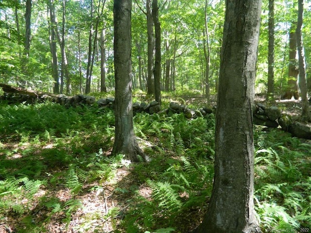184 Shore Rd, Old Lyme, CT 06371 - photo 1