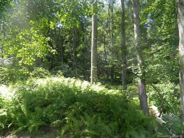 184 Shore Rd, Old Lyme, CT 06371 - photo 3