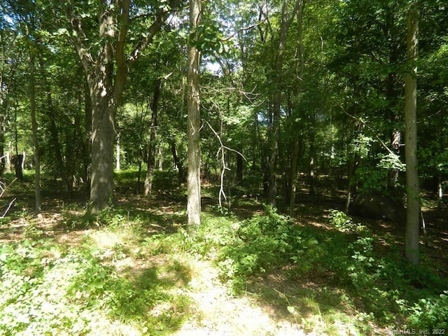 184 Shore Rd, Old Lyme, CT 06371 - photo 5