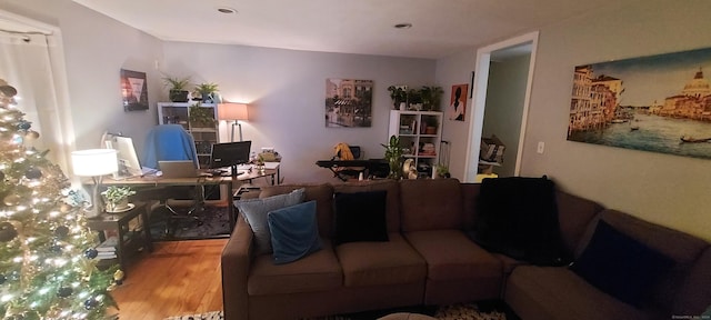 living room featuring hardwood / wood-style flooring