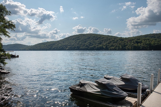 dock area featuring a view of trees and a water and mountain view