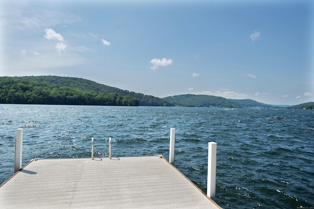266 Great Plain Rd, Danbury, CT 06811 - dock area with a water view