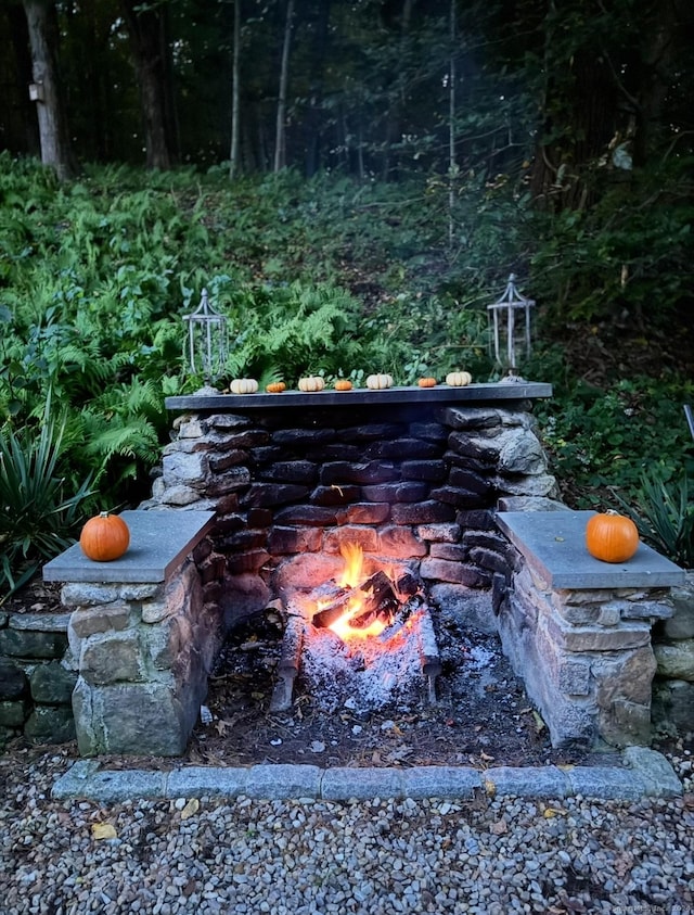 details with a fire pit