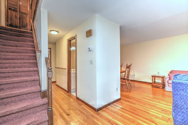 staircase with hardwood / wood-style flooring