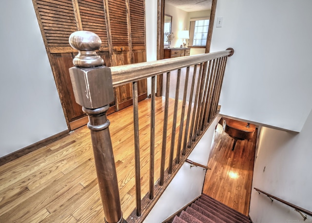 staircase with wood-type flooring