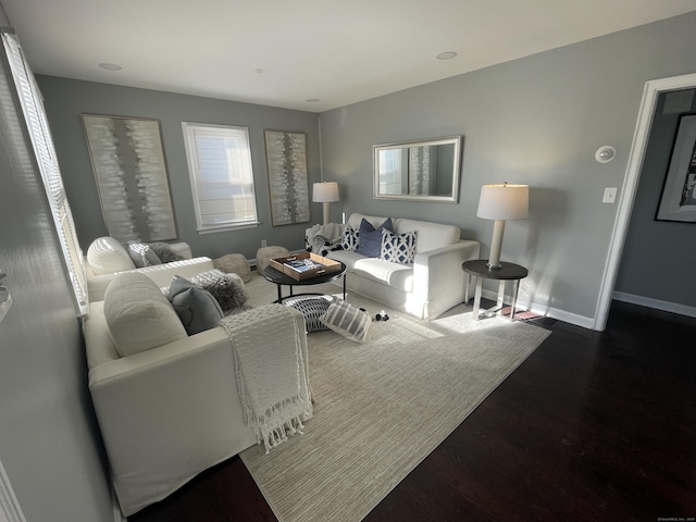 living room featuring wood-type flooring