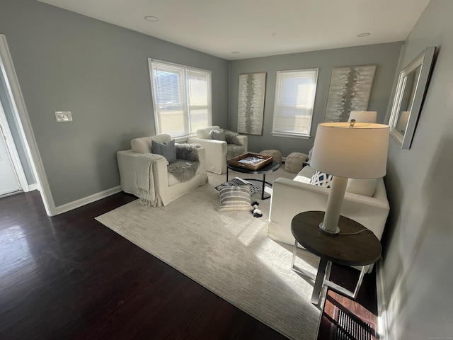 living room with dark wood-type flooring