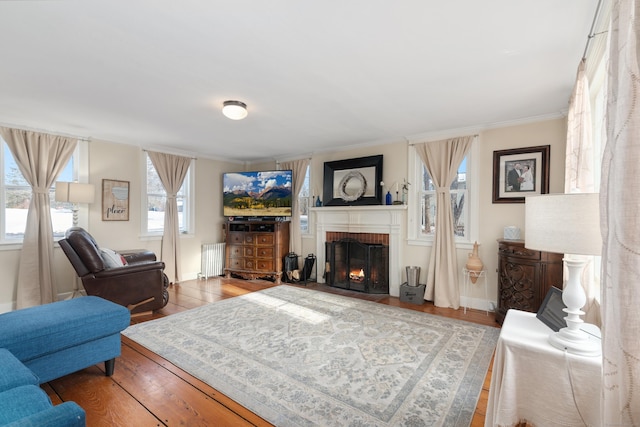 living room featuring radiator, crown molding, hardwood / wood-style floors, and a fireplace