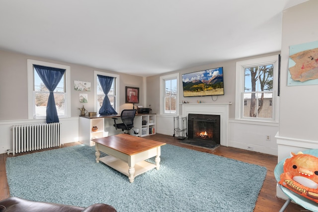 living room featuring wood-type flooring and radiator