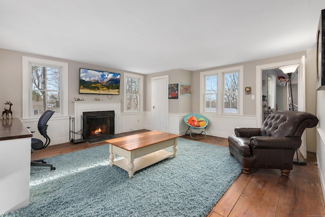 living room with hardwood / wood-style flooring