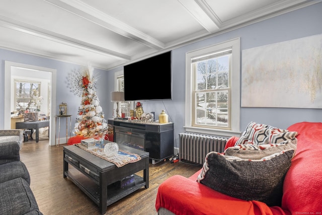 living room featuring beam ceiling, crown molding, radiator heating unit, and dark wood-type flooring