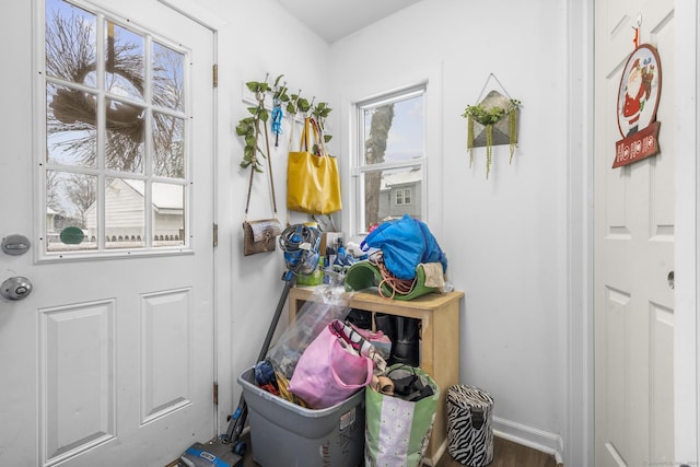 entryway with wood-type flooring