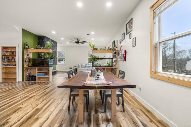 dining space featuring light hardwood / wood-style flooring and ceiling fan