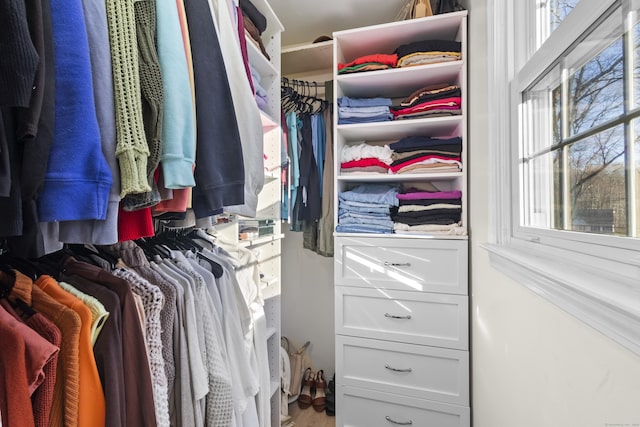 view of walk in closet