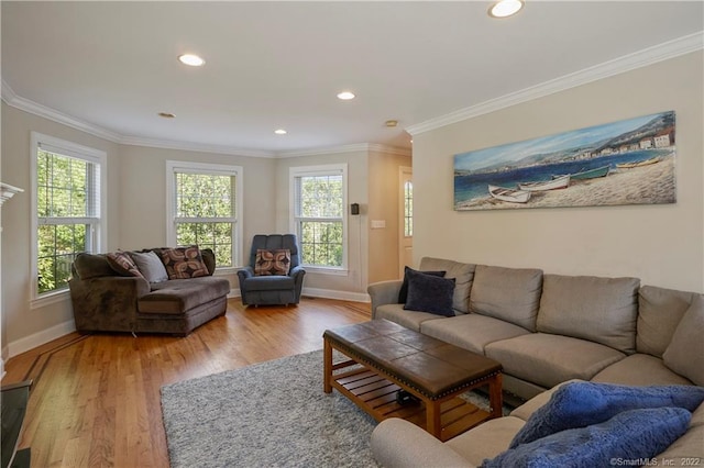 living room featuring crown molding and hardwood / wood-style flooring