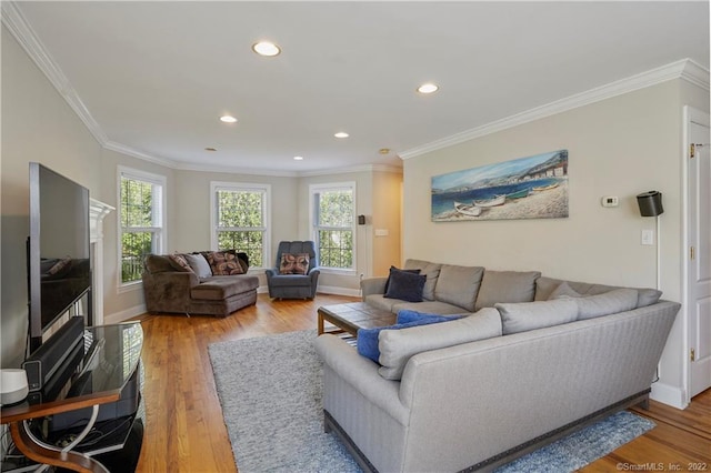 living room featuring hardwood / wood-style flooring and ornamental molding