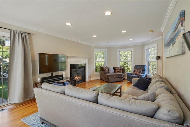 living room with light wood-type flooring, crown molding, and a wealth of natural light