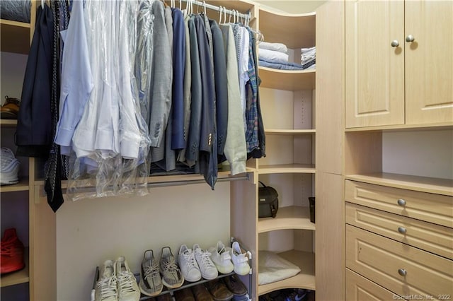 view of spacious closet