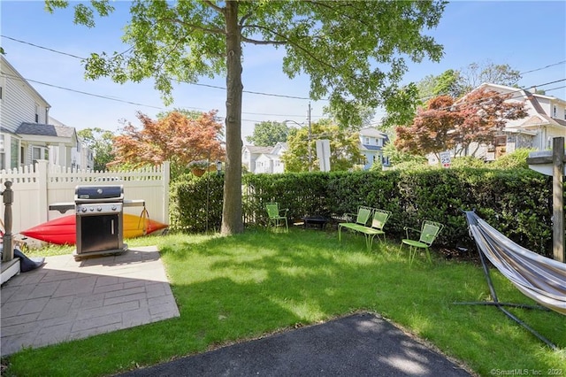 view of yard featuring a patio area