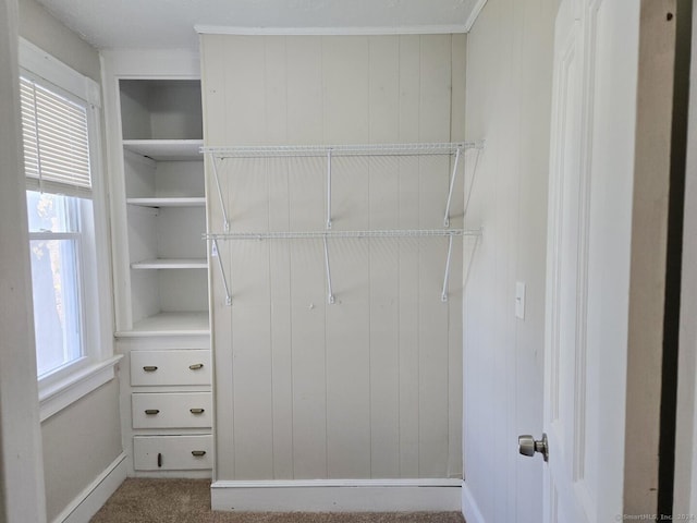 view of closet