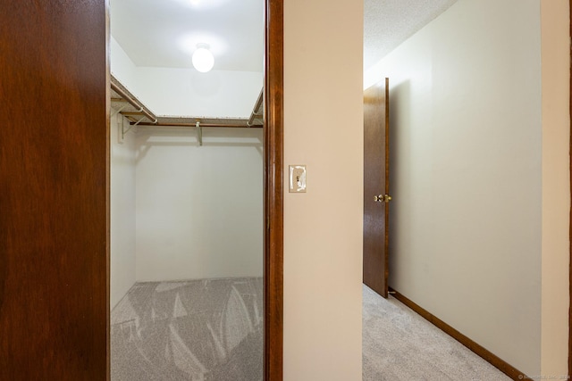 walk in closet featuring light colored carpet