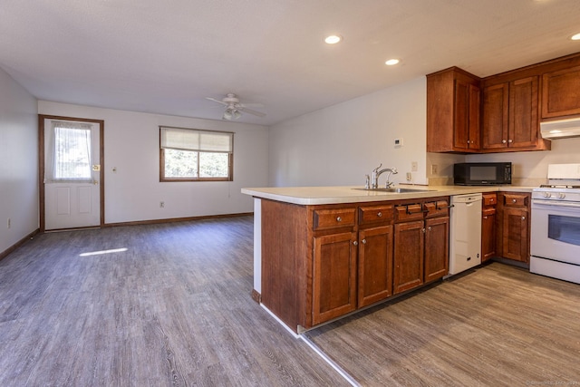 kitchen featuring ceiling fan, sink, light hardwood / wood-style flooring, kitchen peninsula, and white appliances