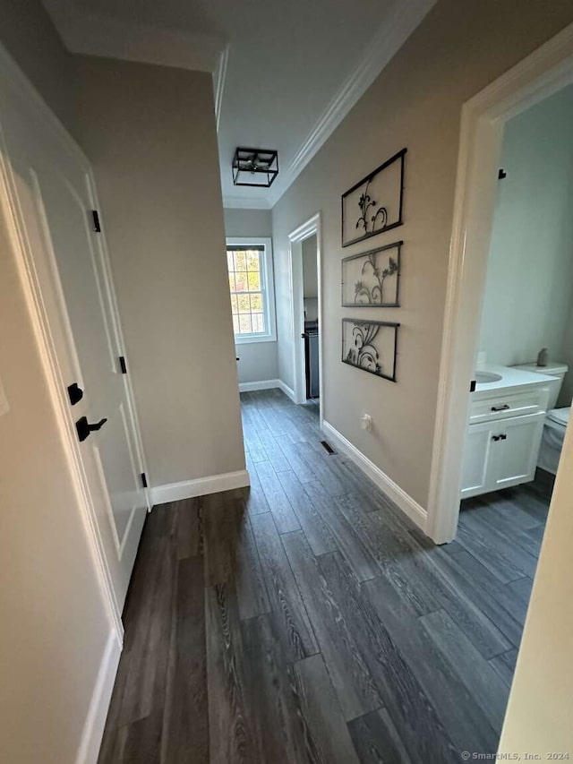 hallway with dark hardwood / wood-style flooring and ornamental molding