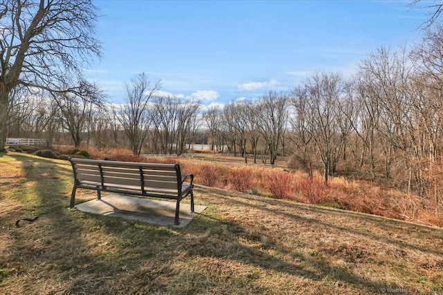 view of property's community with a yard