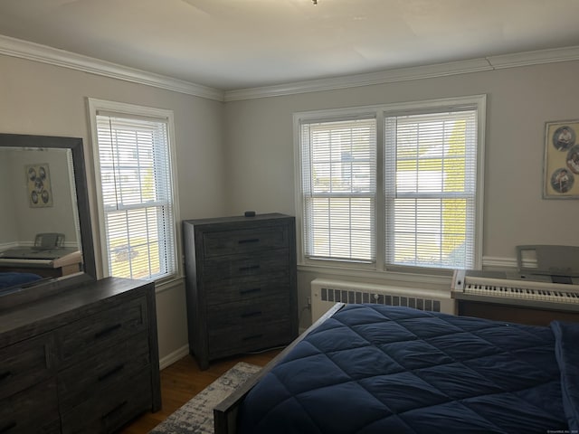 bedroom featuring radiator, multiple windows, and crown molding