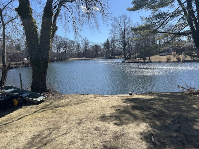 view of water feature