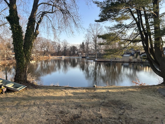 view of water feature