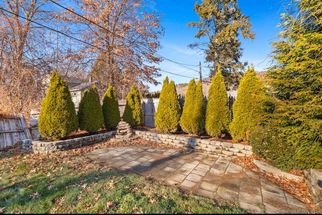 view of yard with a patio area