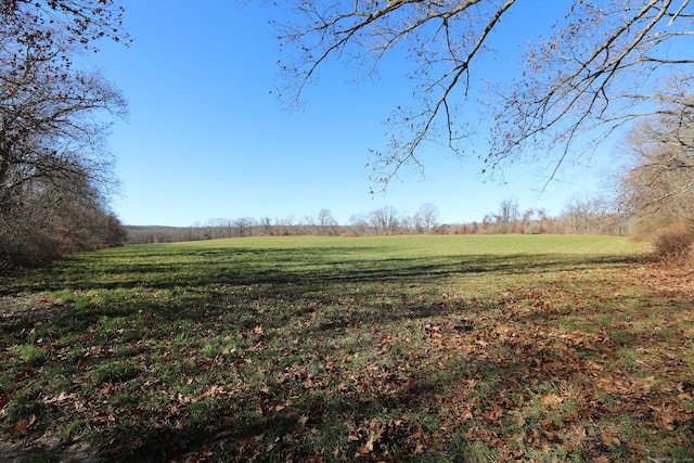 view of yard featuring a rural view