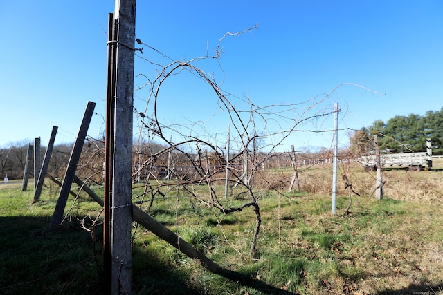 view of yard featuring a rural view