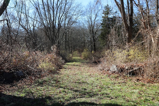 view of landscape